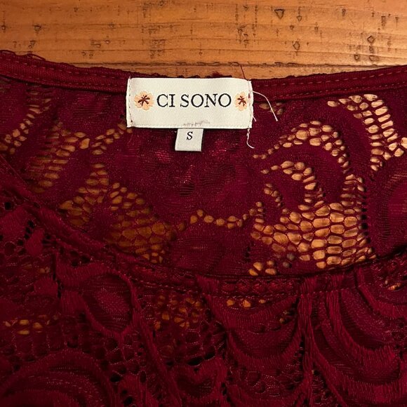 Burgundy Lace Bodycon Dress - Picture 3 of 6